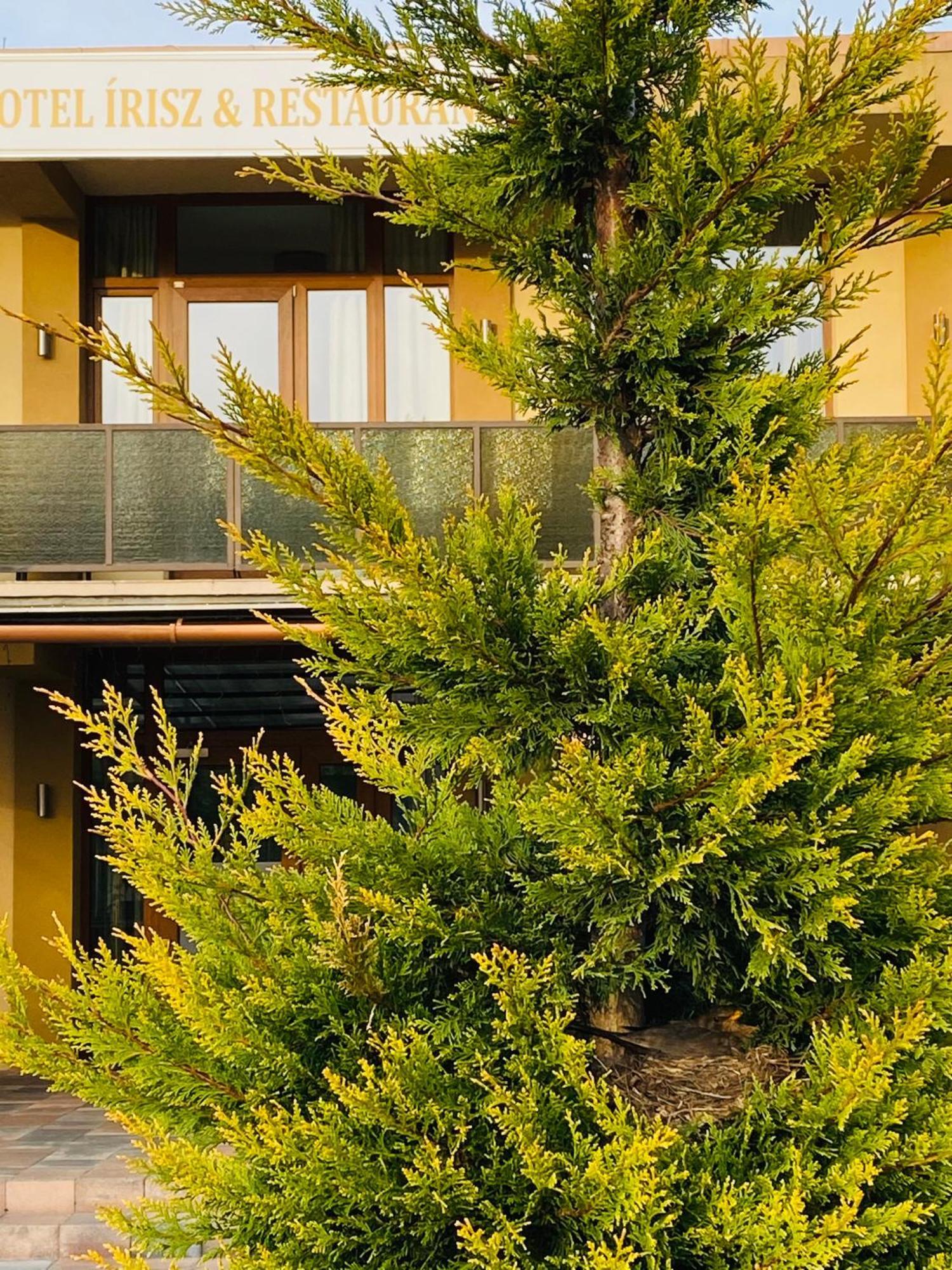 Hotel Irisz Nyíregyháza 외부 사진